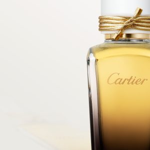 Oud Absolu