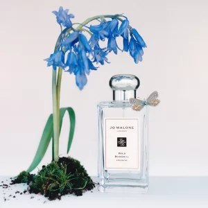 Wild Bluebell