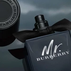 Mr. Burberry EDP