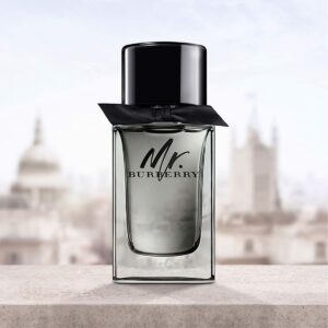 Mr. Burberry EDT