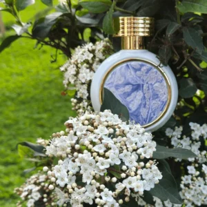 Chic Blossom