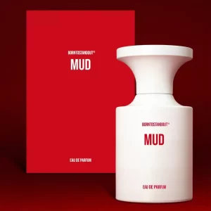 Mud