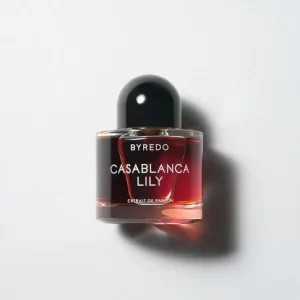 Casablanca Lily