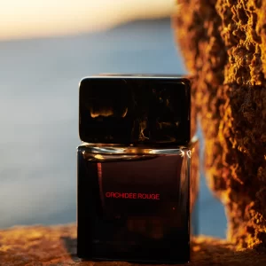Orchidée Rouge Extrait